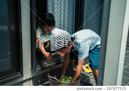 Watermelons 107877515