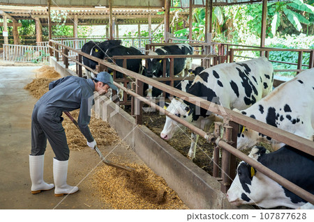 餵牛的人 107877628