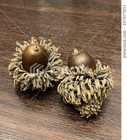 Acorns placed on a brown wooden table 107877651