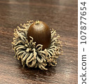 one big acorn 107877654