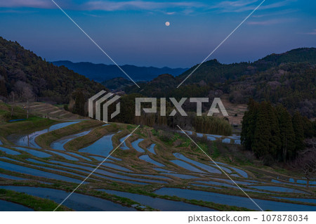 [Chiba Prefecture] Oyama Senmaida, moonlit night with water in the rice fields 107878034