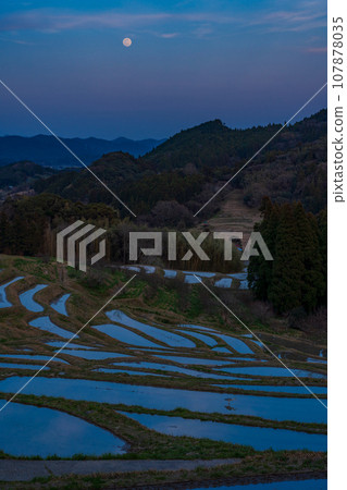 【千葉縣】小山千枚田，月夜稻田流水 107878035