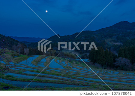 【千葉縣】小山千枚田，月夜稻田流水 107878041