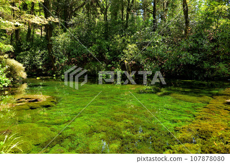 Ikeyama water source 107878080