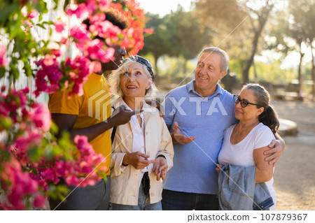 Mature multinational cheerful males and females talking outdoors near the park on a sunny day Mature multinational cheerful males and females talking outdoors near the park on a sunny day 107879367