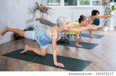 Elderly woman performs bird-dog pose at yoga studio balancing table asana, dandayamana bharmanasana 107879527
