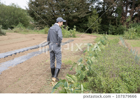 A farmer man patrolling the fields A farmer man patrolling the fields 107879666