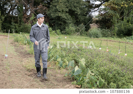A farmer man patrolling the fields A farmer man patrolling the fields 107880136