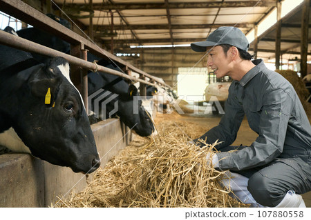 man feeding livestock 107880558