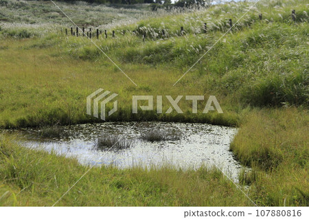 A wetland in the Hosono Highlands A wetland in the Hosono Highlands 107880816