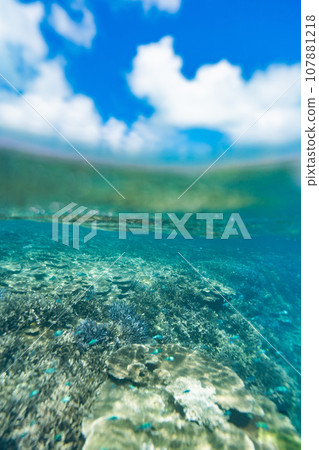 Miyako Blue half-water photo of coral reef around Ogami Island Miyako Blue half-water photo of coral reef around Ogami Island 107881218