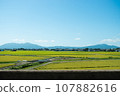 鄉村景觀 107882616