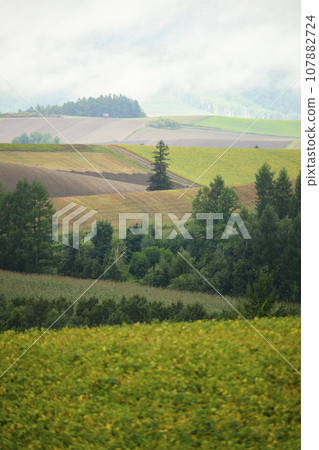 北海道美瑛「信榮之丘展望公園」的景色 北海道美瑛「信榮之丘展望公園」的景色 107882724