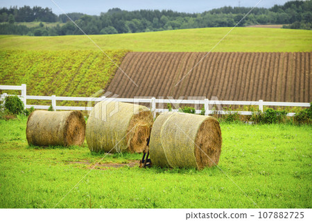 Grass roll at “Shinei no Oka Observation Park” in Biei, Hokkaido 107882725