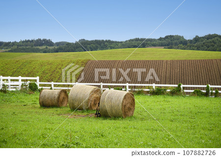 北海道美瑛「信榮之丘展望公園」的草卷 107882726