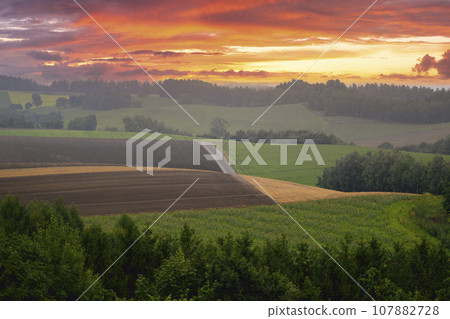 Biei hill shrouded in morning mist 107882728