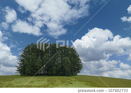 "Mild Seven Hill" in Biei, Hokkaido 107882733