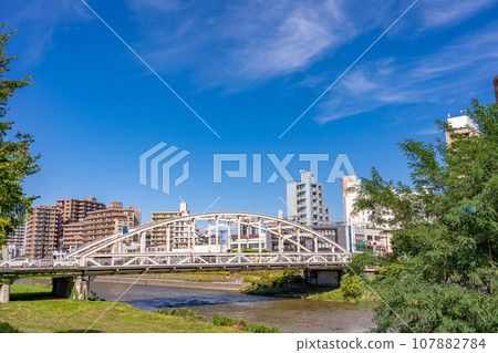 Kaiun Bridge, a bridge representing Morioka 107882784