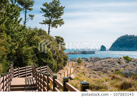 Seogwipo Saeseom sea trail walkway in Jeju island, Korea Seogwipo Saeseom sea trail walkway in Jeju island, Korea 107883143