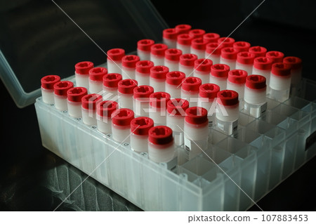 冷凍小管 107883453