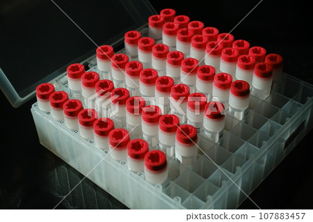 冷凍小管 107883457