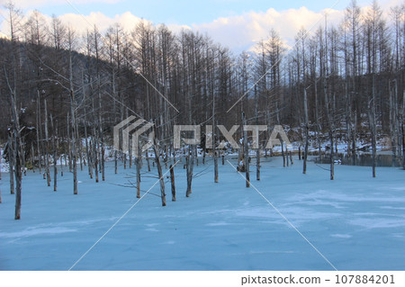 冷凍的藍色池塘 107884201