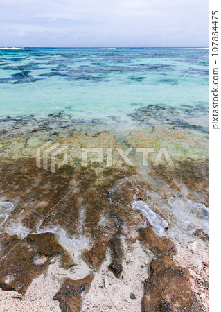Coastal landscape with underwater rocks. Anse Union beach view, La Digue Coastal landscape with underwater rocks. Anse Union beach view, La Digue 107884475