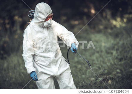 A worker sprays pesticides on trees outdoors. Tree pest control 107884904