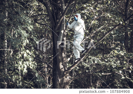 A worker sprays pesticides on trees outdoors. Tree pest control A worker sprays pesticides on trees outdoors. Tree pest control 107884908