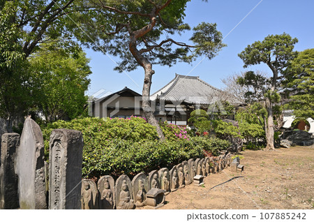 川口散步:慈照寺、真言宗、智山學、川口市南鳩谷 川口散步:慈照寺、真言宗、智山學、川口市南鳩谷 107885242