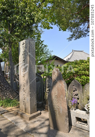 川口散步:慈照寺、真言宗、智山學、川口市南鳩谷 川口散步:慈照寺、真言宗、智山學、川口市南鳩谷 107885245