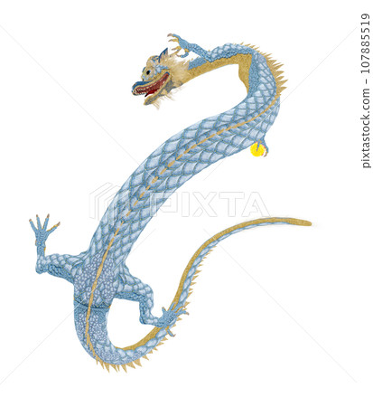 Realistic dragon illustration Realistic dragon illustration 107885519