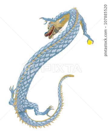 Realistic dragon illustration Realistic dragon illustration 107885520