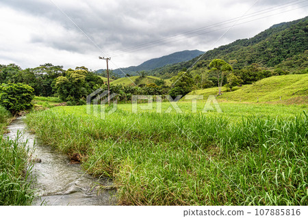 Green fields and meadows in the countryside of Pomerode, Santa Catarina in Brazil 107885816
