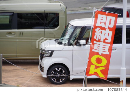 Banner: Car dealer's ready-to-deliver car flag Banner: Car dealer's ready-to-deliver car flag 107885844