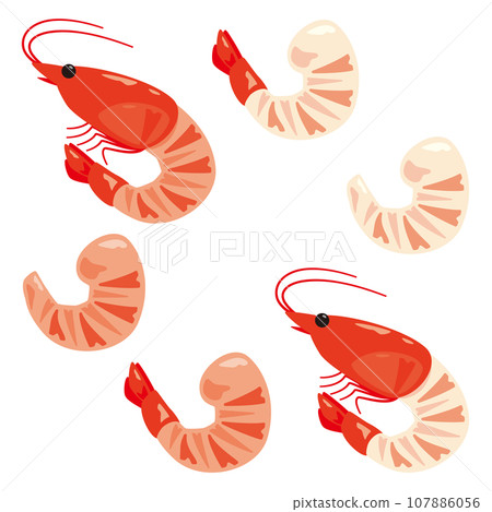 Peeled shrimp set 107886056