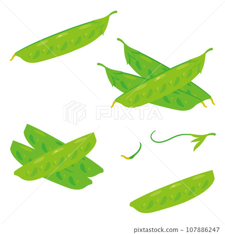 絲綢護套套裝 107886247