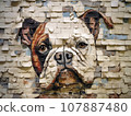 Crack art of bulldog in the wall 107887480