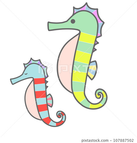 兩隻海馬 107887502