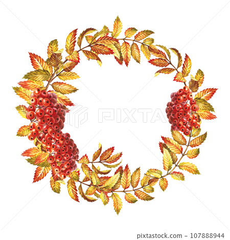 A wreath of autumn mountain ash. The watercolor is hand-drawn. Artistic, color, colorized illustration. Isolate. For labels, packages. For example, printed products. For postcards, posters and banners 107888944