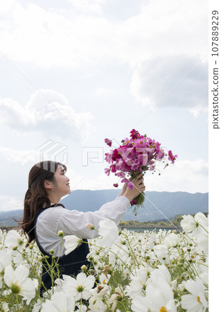 White cosmos field, woman holding a bouquet 107889229