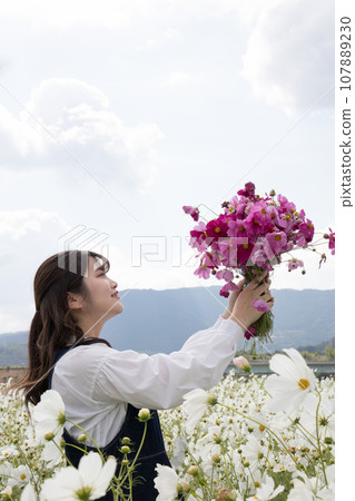 White cosmos field, woman holding a bouquet 107889230
