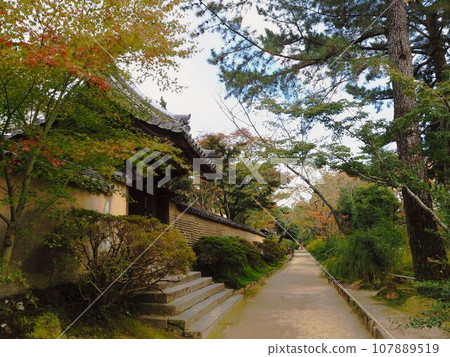 唐招提寺、本坊 107889519