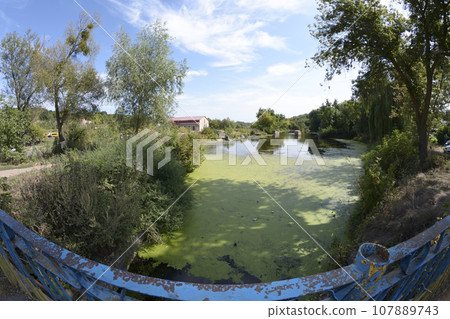 Rural pond situated at the beginning of the Buksky canyon, Ukraine 107889743