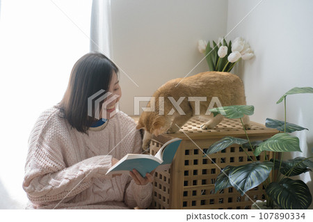cat care concept with asian woman read book and play with gold british cat at home cat care concept with asian woman read book and play with gold british cat at home 107890334