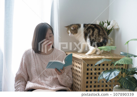 cat care concept with asian woman read book and play with scottish tabby cat at home 107890339