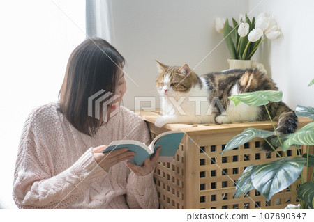 cat care concept with asian woman read book and play with scottish tabby cat at home 107890347