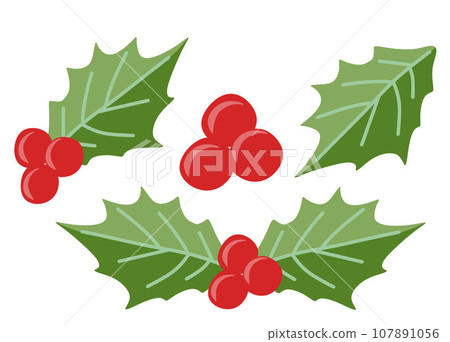 Set of Christmas holly icons. Flat style Vector elements isolated on white. Floral illustration, Holiday decoration, December seasonal template for Postcard, Banner, Winter Graphic design Set of Christmas holly icons. Flat style Vector elements isolated on white. Floral illustration, Holiday decoration, December seasonal template for Postcard, Banner, Winter Graphic design 107891056