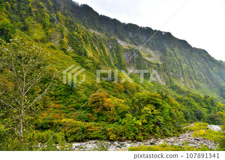 惡城之牆/惡城之牆（富山縣立山町） [2023.10] 107891341