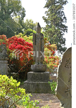 Morinji Soto Zen Bunpuku Chagama Temple Tatebayashi City, Gunma Prefecture 107891837